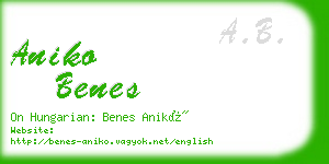 aniko benes business card